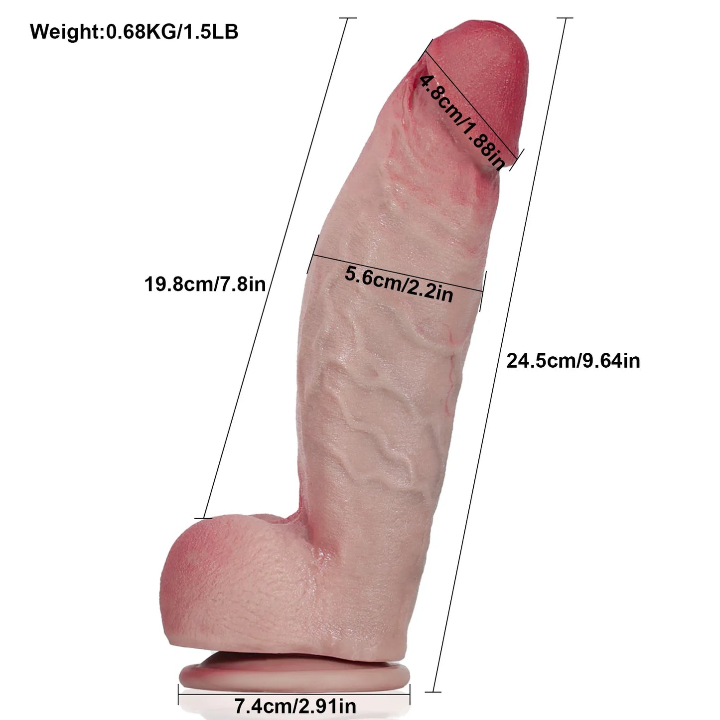 ディルド リアル|極厚5.6cm級・肉感たっぷりのリアルペニス型モデル(吸盤付き)